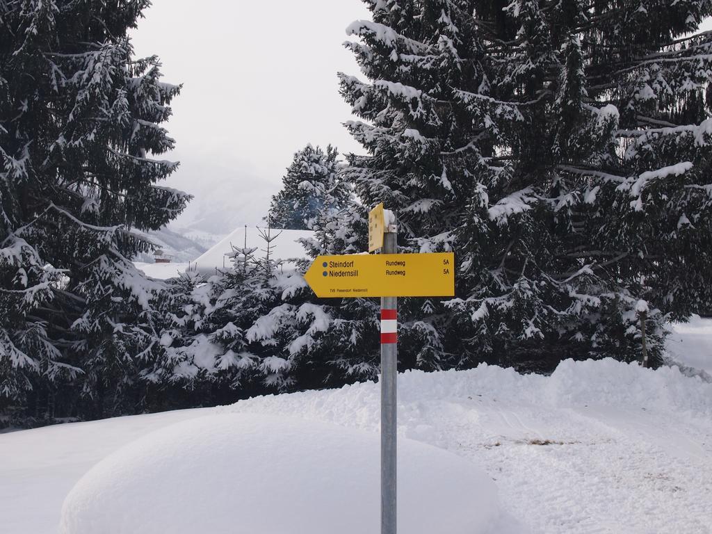Chalet Sonnberg Niedernsill Exterior photo