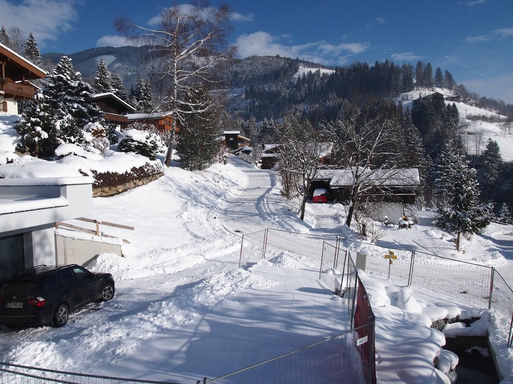 Chalet Sonnberg Niedernsill Exterior photo